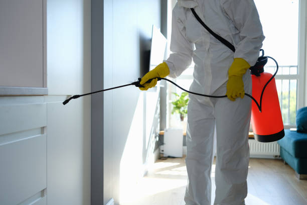 Best Mold Damage Repair  in South Williamsport, PA